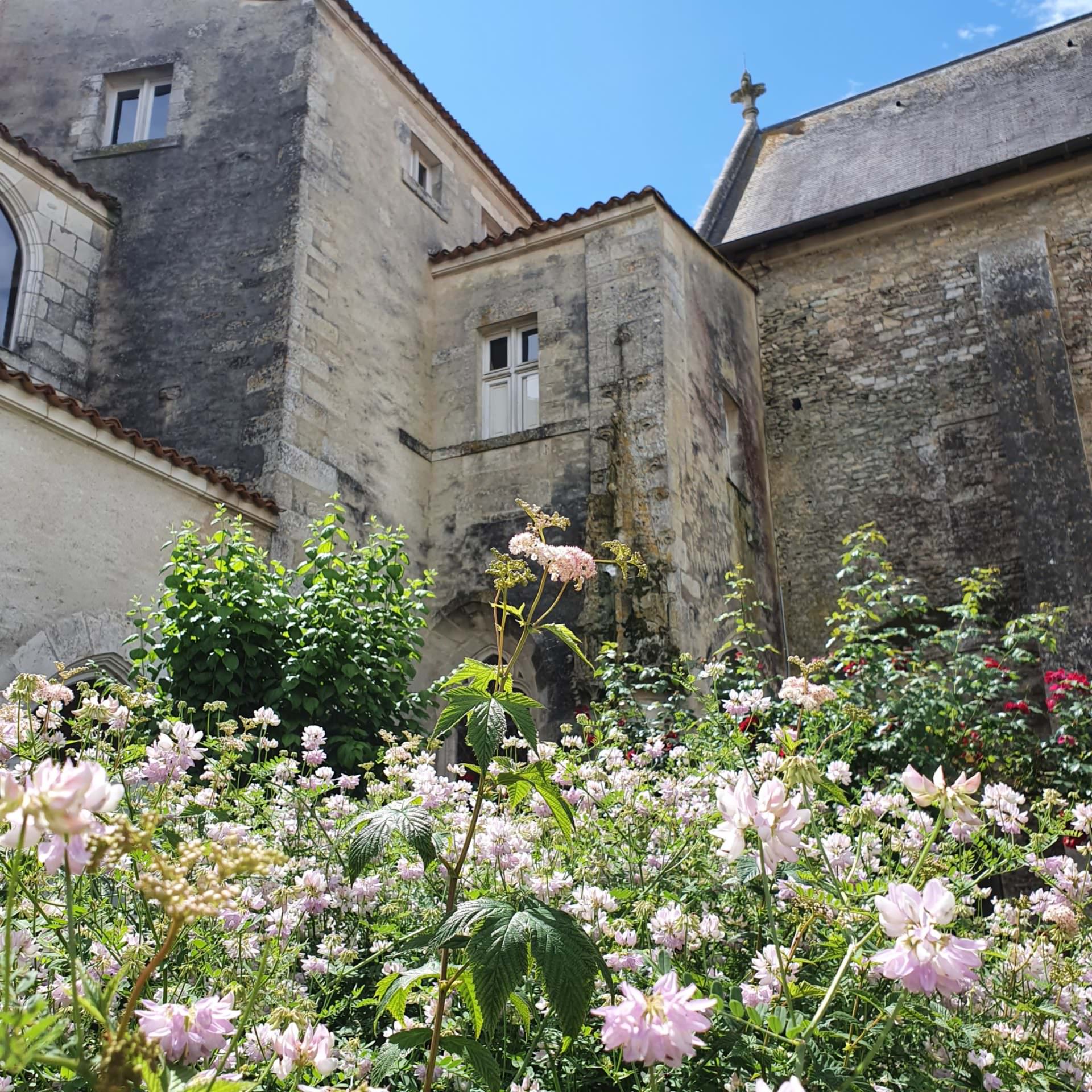 jardin des simples, Commanderie des Antonins